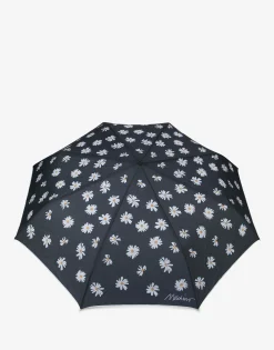 Fashion Openclose Allover Daisy Umbrella Umbrellas
